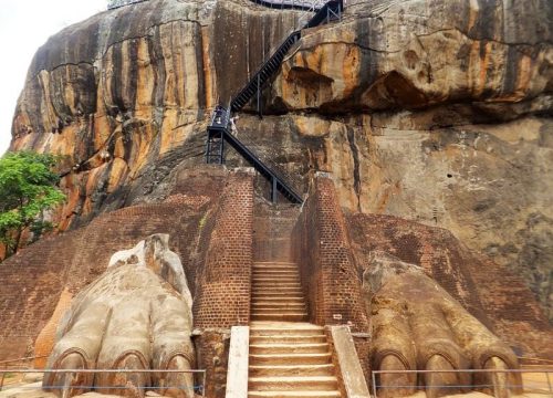 11-Days Tour: Spectrum Experience to Sri Lanka