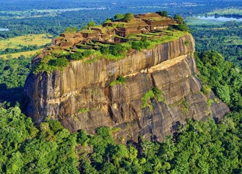 8-Days Tour: Wildlife and Adventure